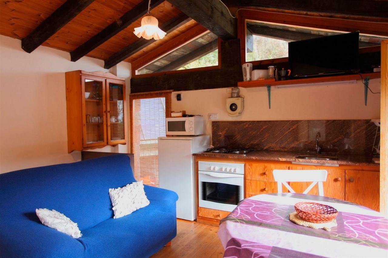 La Cabana del Molí de la Plana Riudaura Exterior foto